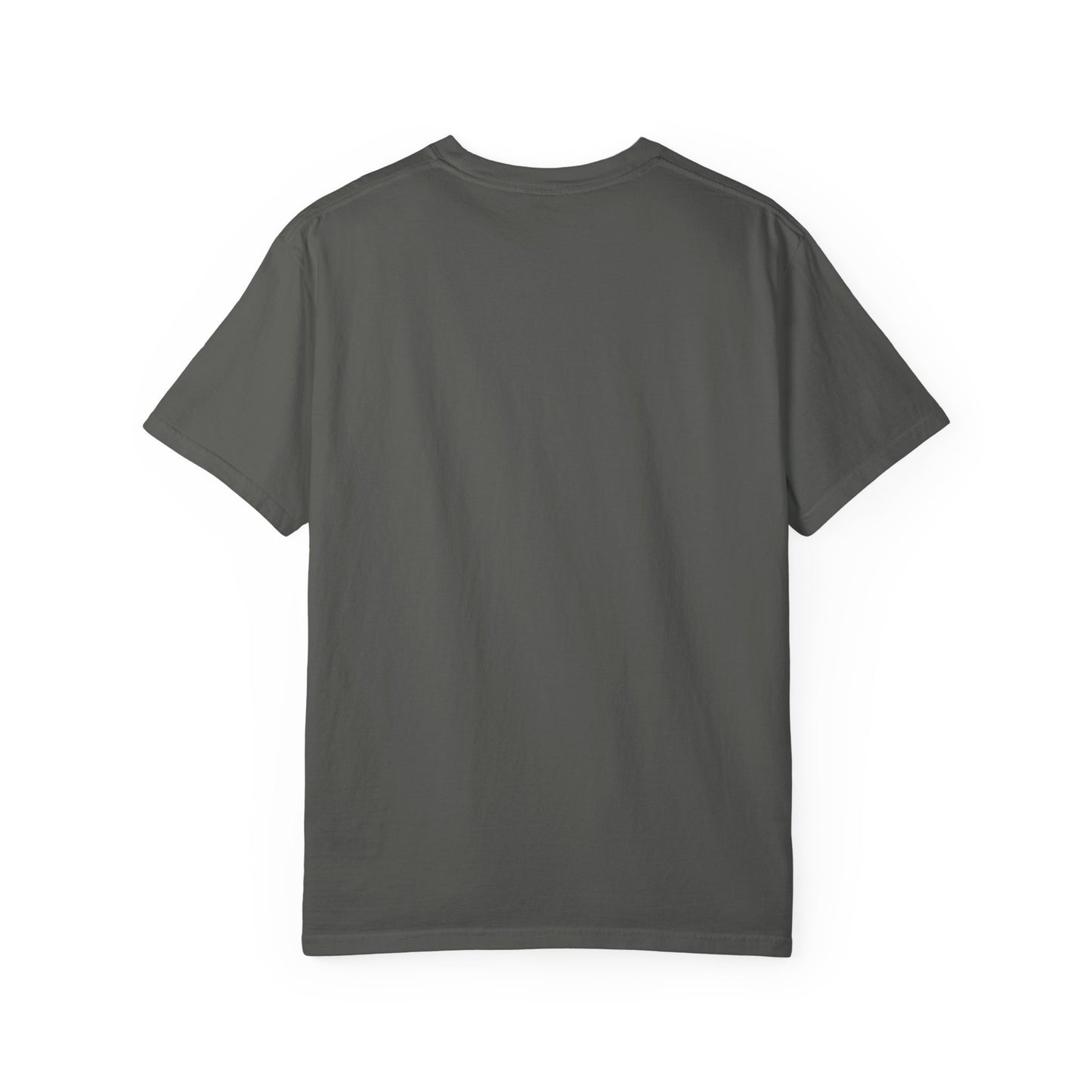 Waterfall Photo T-Shirt with Marathi Text — Scenic Nature Tee