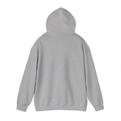 Waterfall Photo Hoodie — Scenic Nature Landscape Sweatshirt