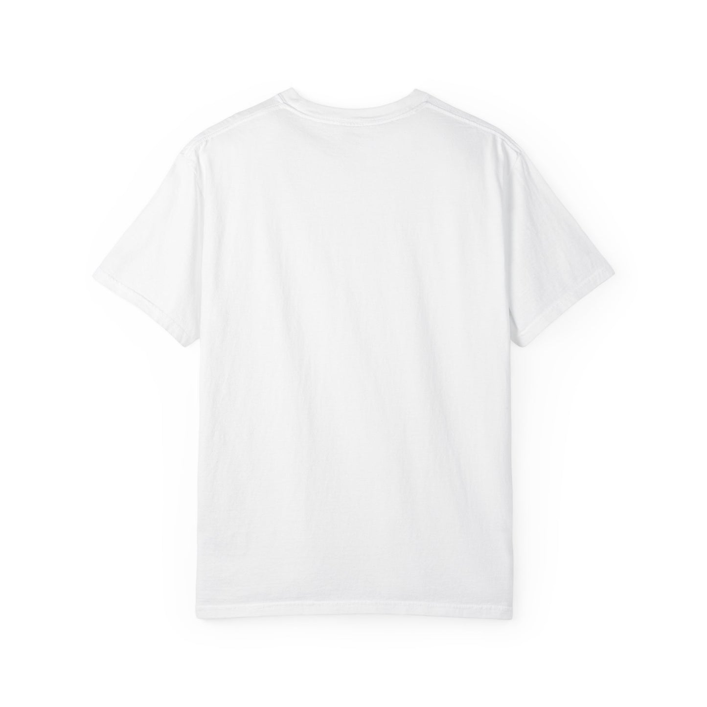 Waterfall Photo T-Shirt with Marathi Text — Scenic Nature Tee