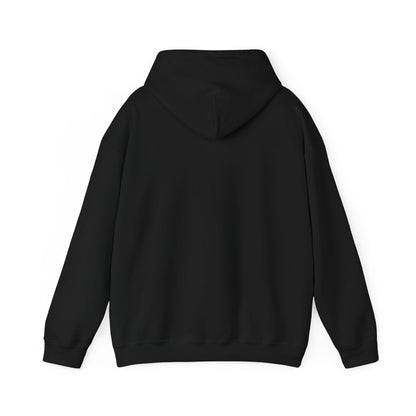 Waterfall Photo Hoodie — Scenic Nature Landscape Sweatshirt