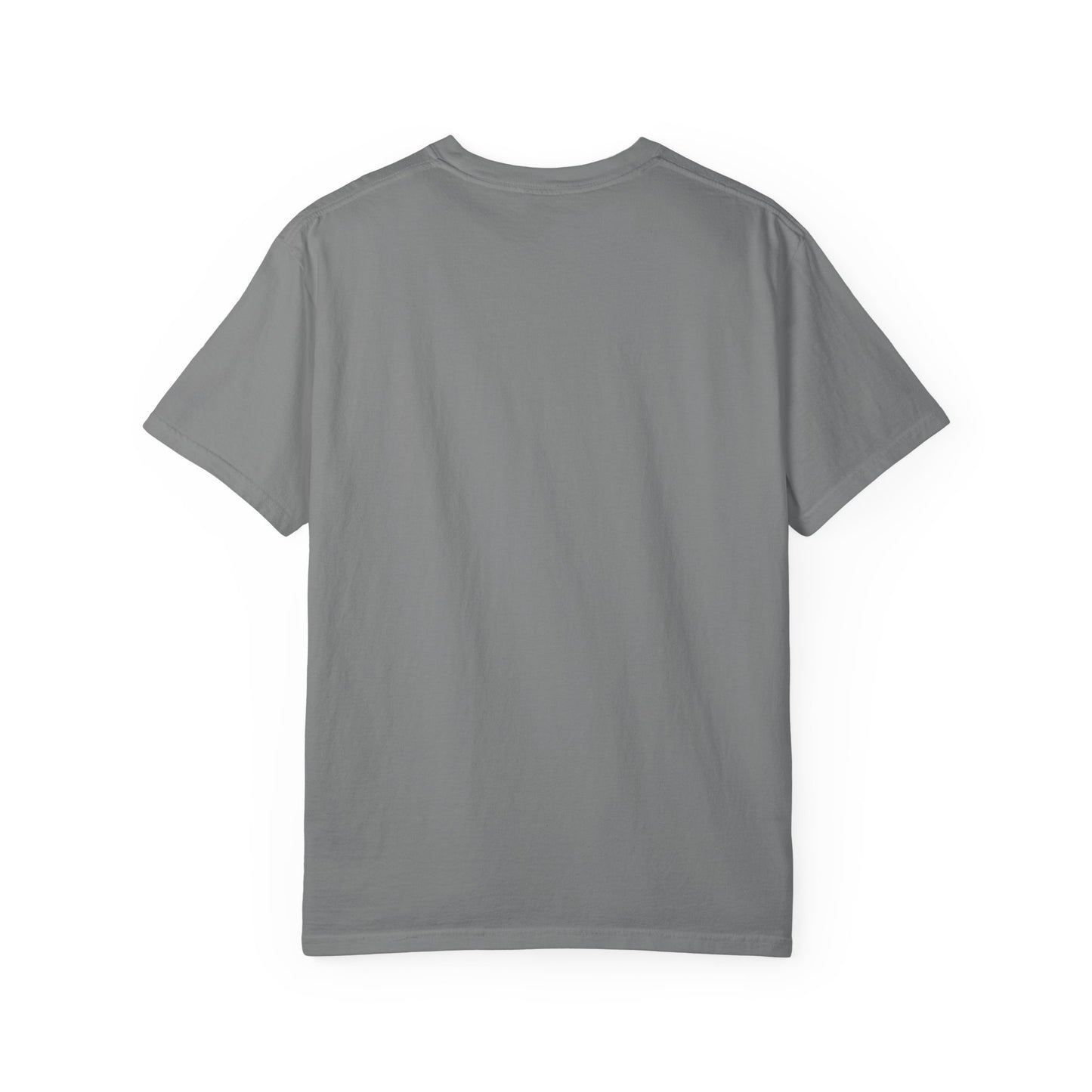 Waterfall Photo T-Shirt with Marathi Text — Scenic Nature Tee