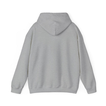 Waterfall Photo Hoodie — Scenic Nature Landscape Sweatshirt