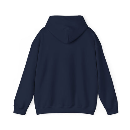 Waterfall Photo Hoodie — Scenic Nature Landscape Sweatshirt