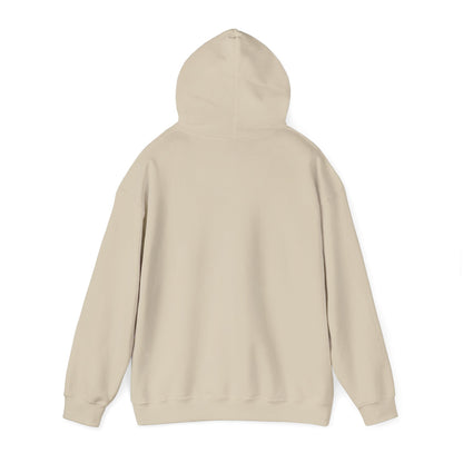 Waterfall Photo Hoodie — Scenic Nature Landscape Sweatshirt